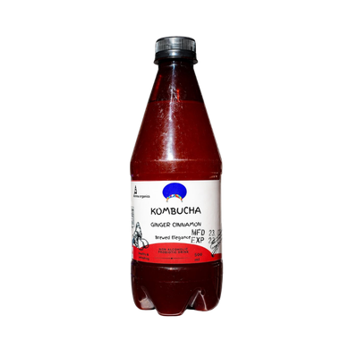 Kombucha Ginger Cinnamon (500ml) 6 pack